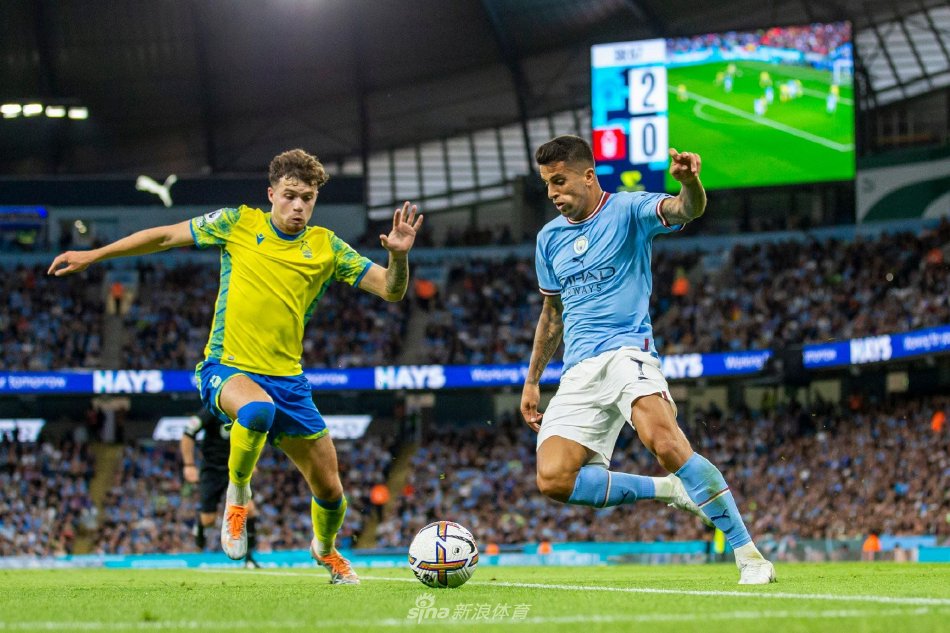 新秀赛季往 新秀赛季往